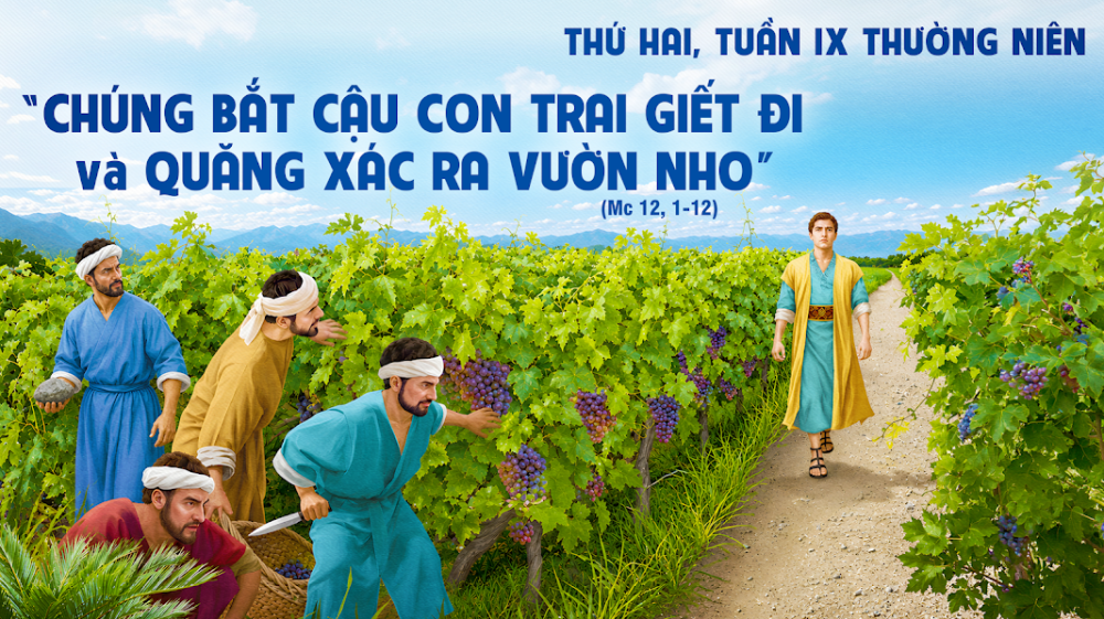 Thứ Hai Tuần IX Thường Niên  : DUY NHẤT ĐỨC KITÔ LÀ VƯỜN NHO THẬT