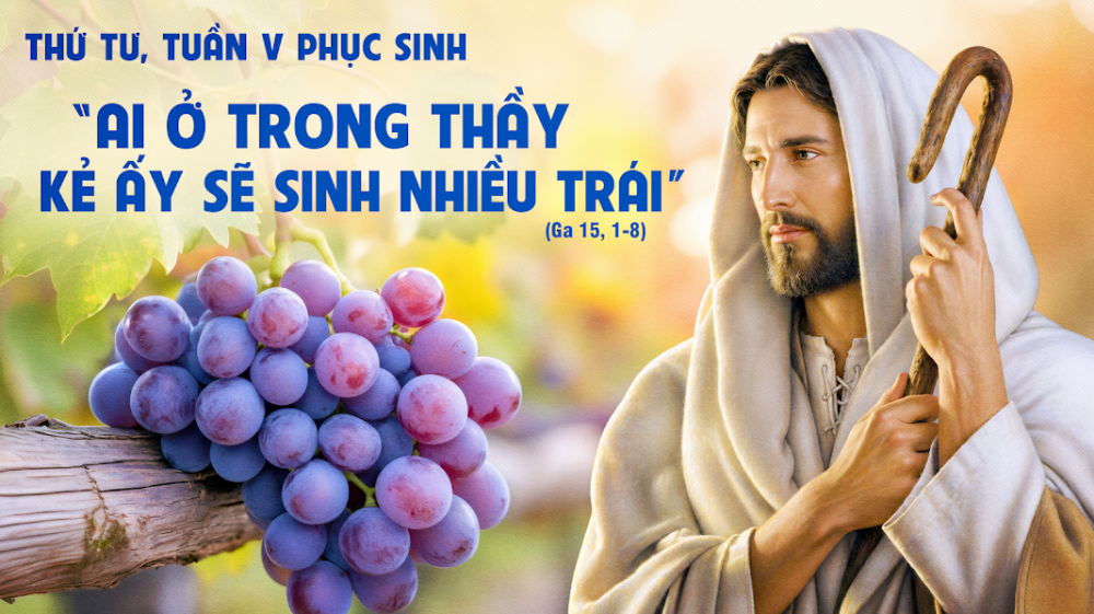 Thứ Tư Tuần V Phục Sinh : Thầy là cây nho, anh em là cành