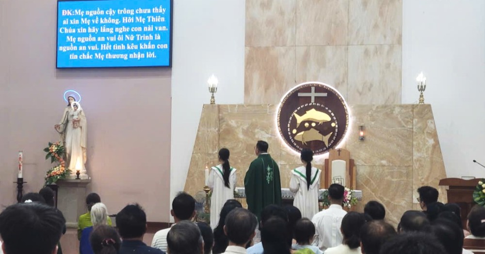 CN tuan 14-TN (7)