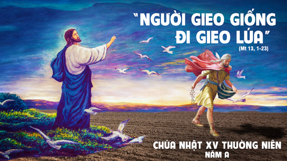 CHÚA NHẬT XV – TN : NGƯỜI GIEO GIỐNG VÀ MẦU NHIỆM CỦA SỰ LẮNG NGHE