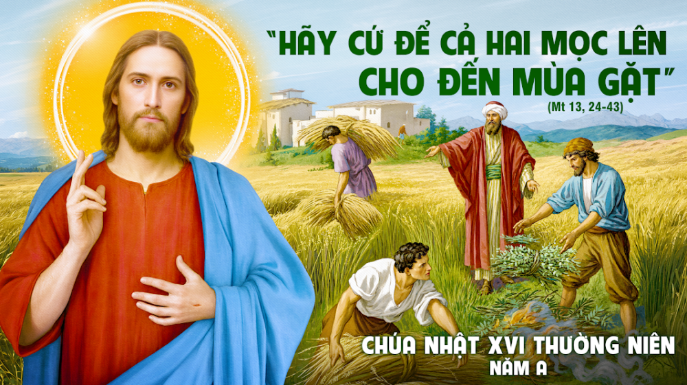Chúa Nhật XVI Thường Niên A - 4
