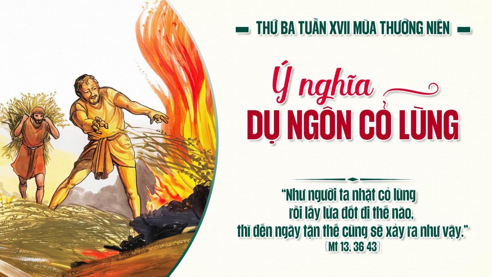 Thứ Ba Tuần XVII TN : Kiên nhẫn trong mùa gặt của Thiên Chúa