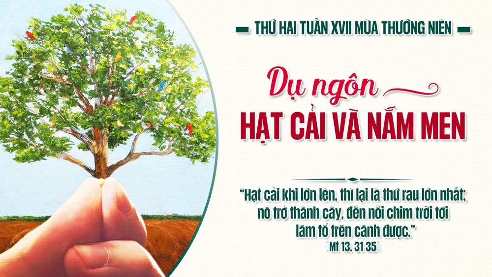 Thu Hai Tuan XVII