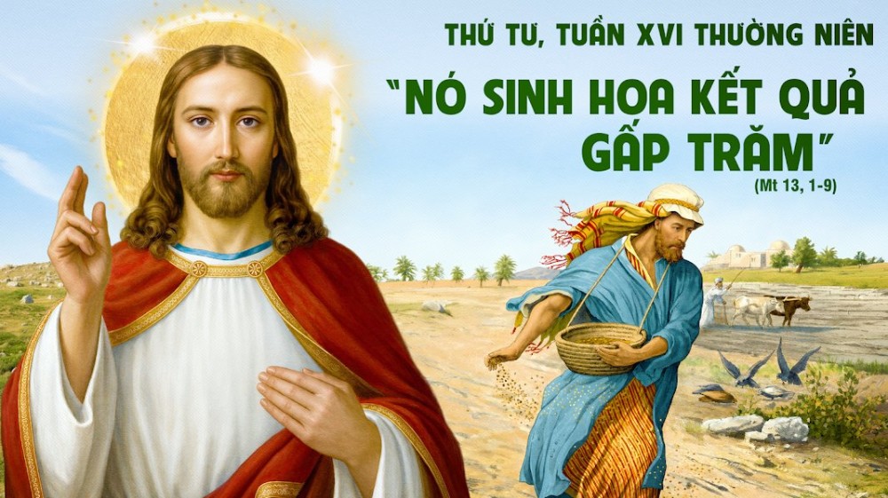 Thứ Tư Tuần XVI – TN :  TÔI ĐÃ THẤY CHÚA